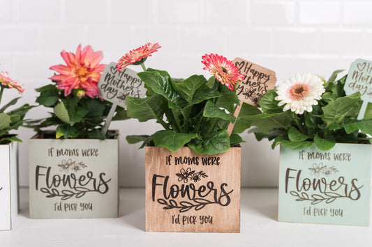 Mother's Day Plant Pot