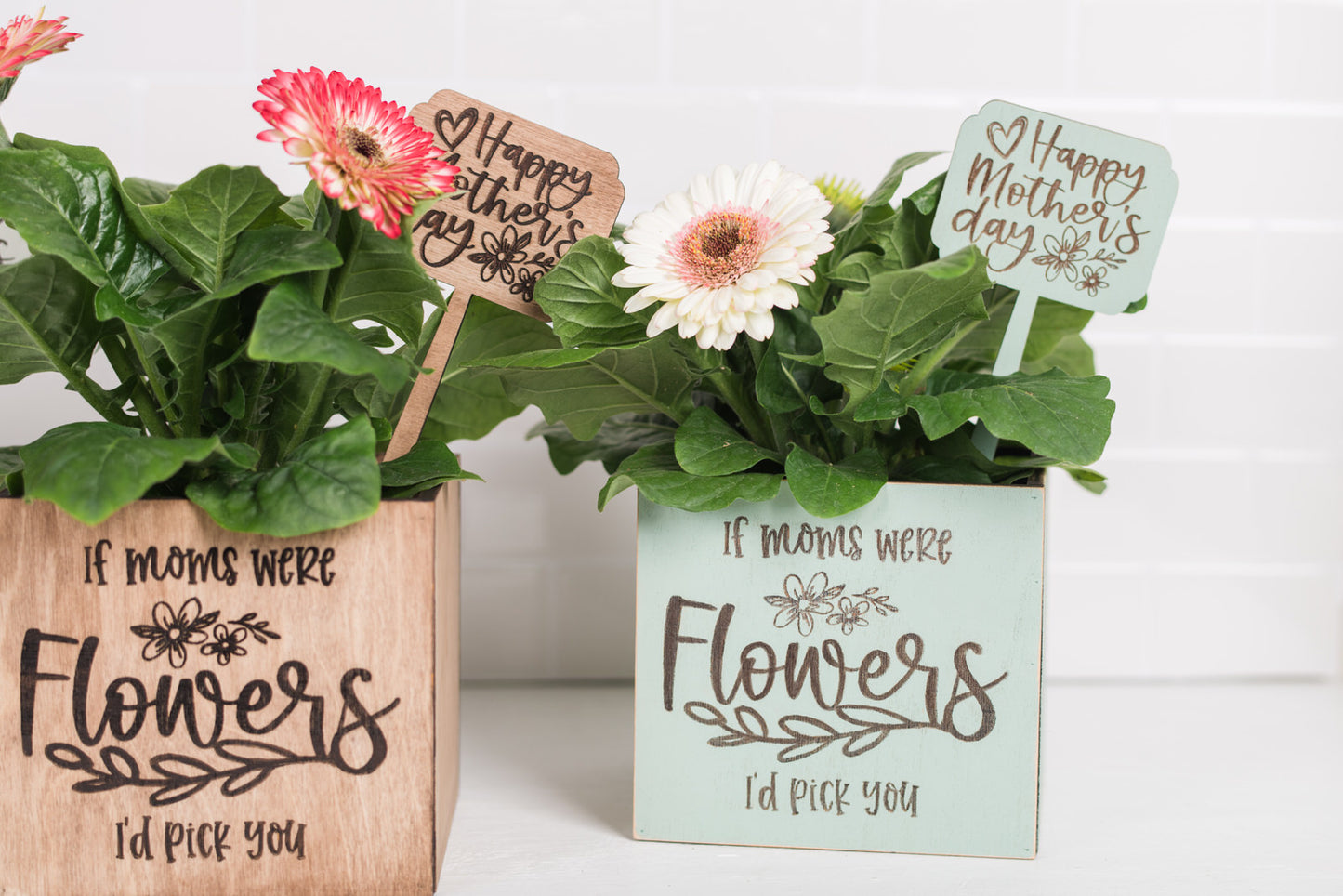 Mother's Day Plant Pot