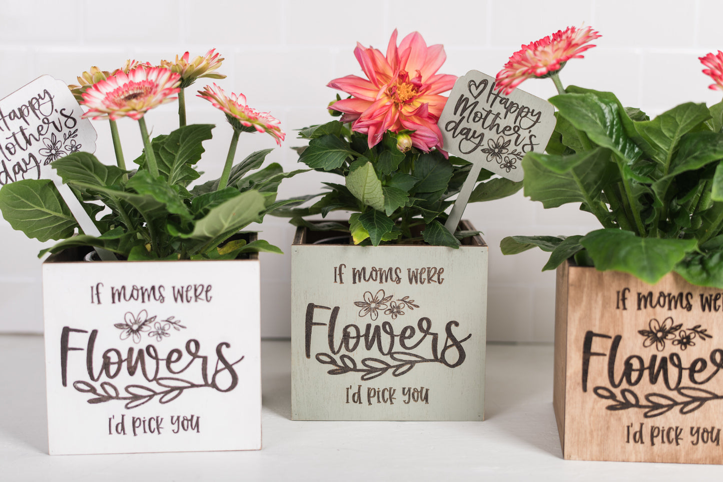 Mother's Day Plant Pot