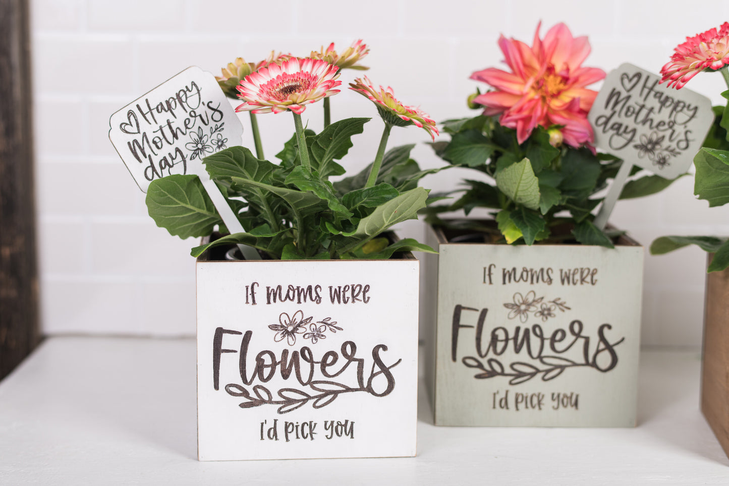 Mother's Day Plant Pot