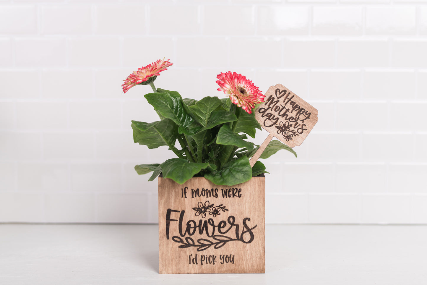 Mother's Day Plant Pot