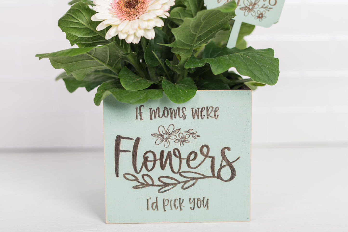 Mother's Day Plant Pot