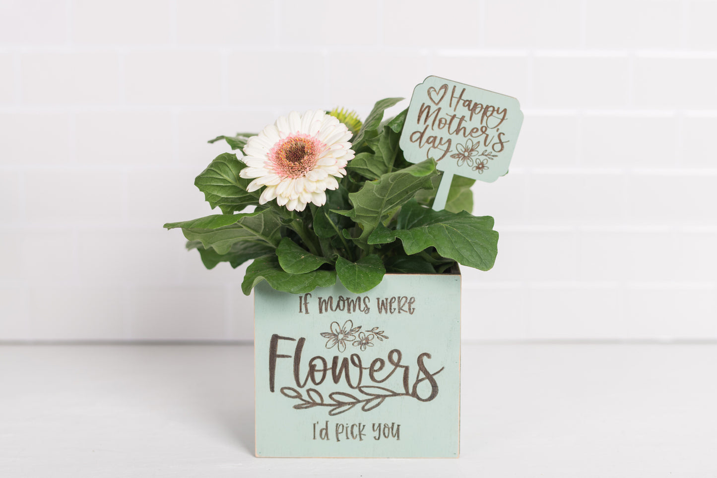 Mother's Day Plant Pot