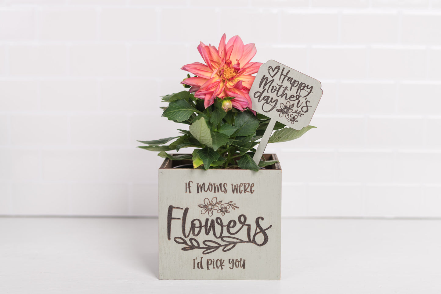 Mother's Day Plant Pot