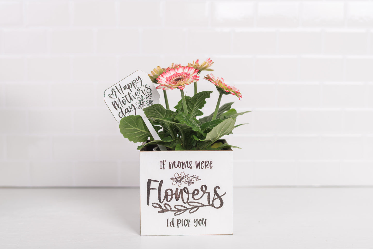 Mother's Day Plant Pot