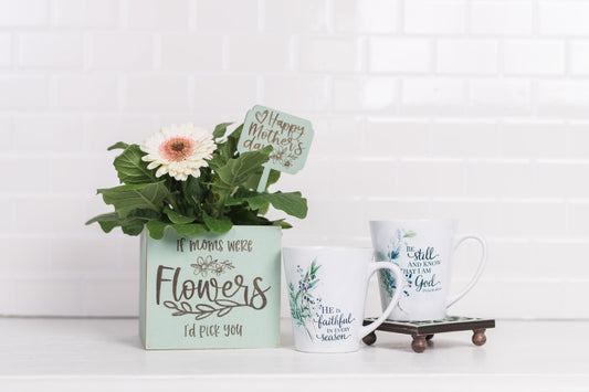 Mother's Day Plant Pot & Mug Gift Set