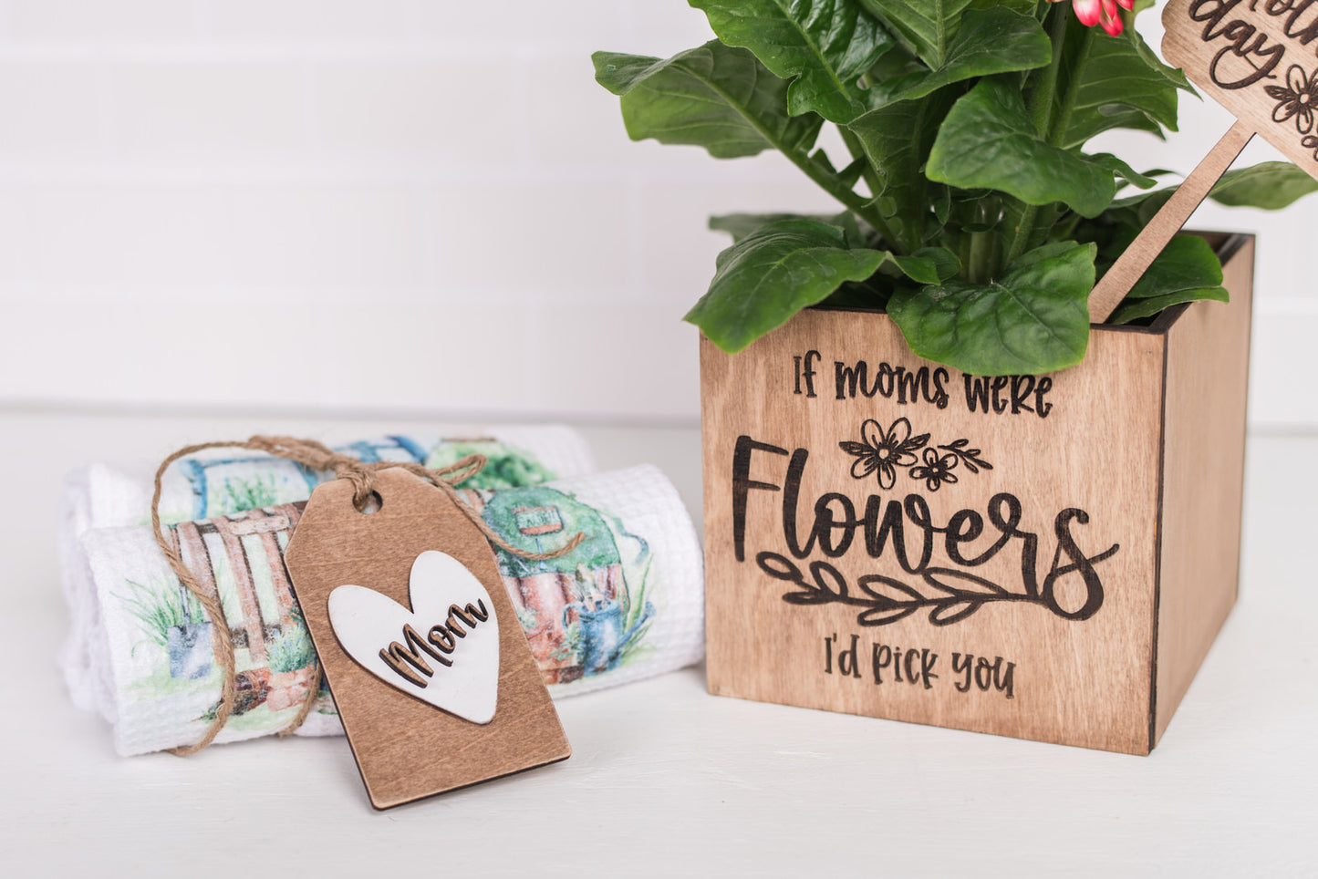 Mother's Day Plant Pot Gift Set