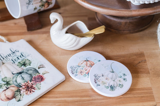 Set of 4 pastel pumpkin coasters with soft florals