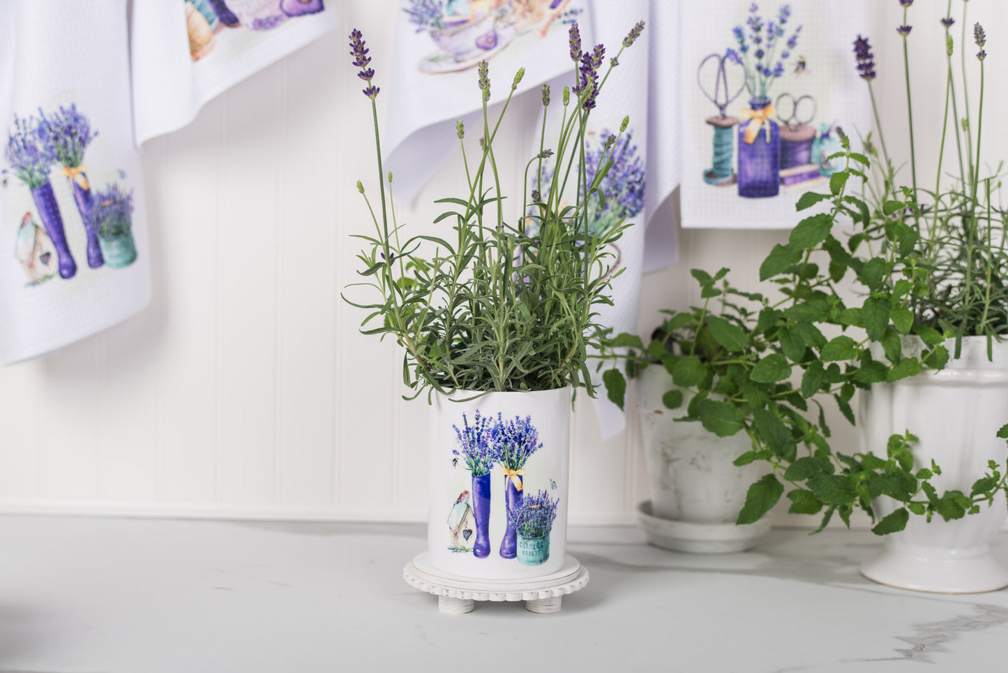 Potted plants in white pots with lavender designs on a light background