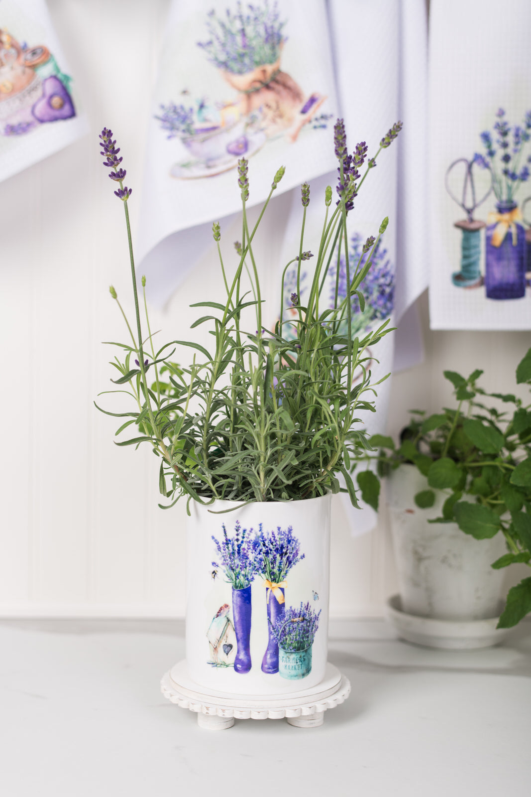 Lavender decorative pot with lavender plant on a white surface