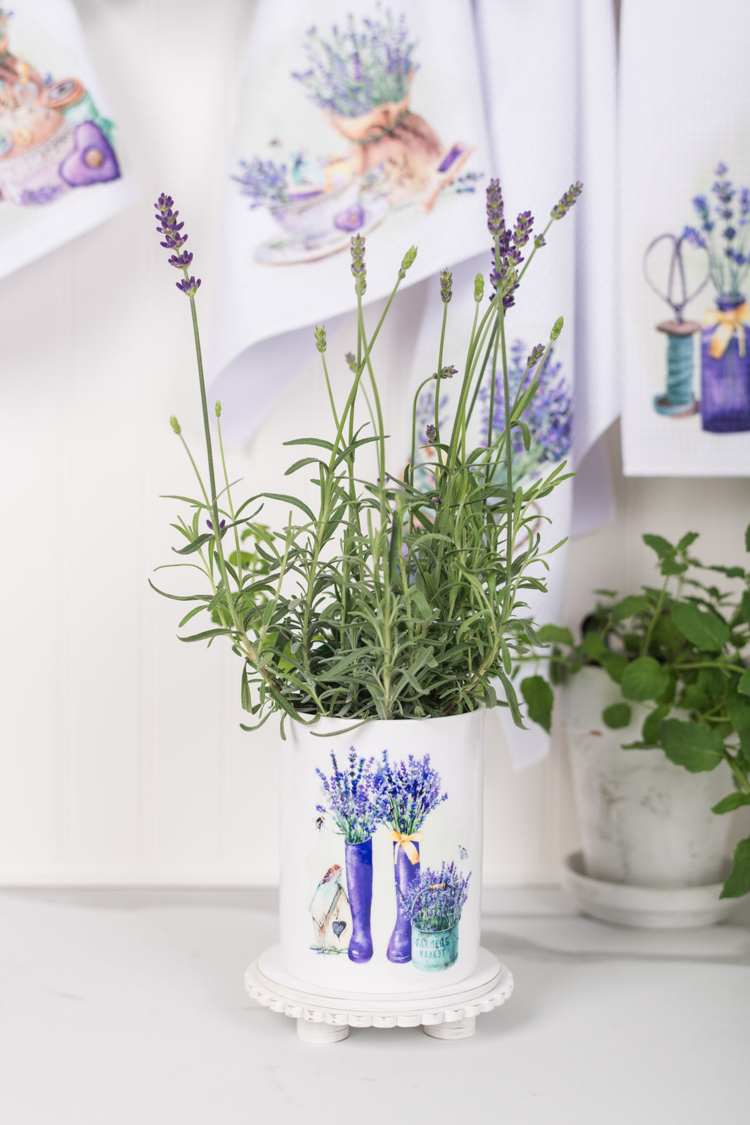 Potted plant with lavender in a watercolour pot on a white surface