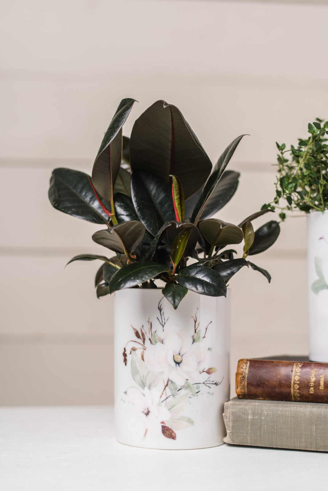 Magnolia Canister - Medium