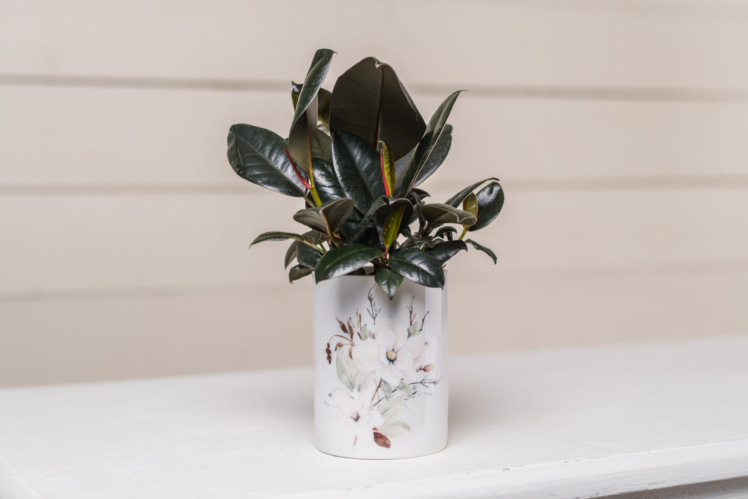 PLANT POTS