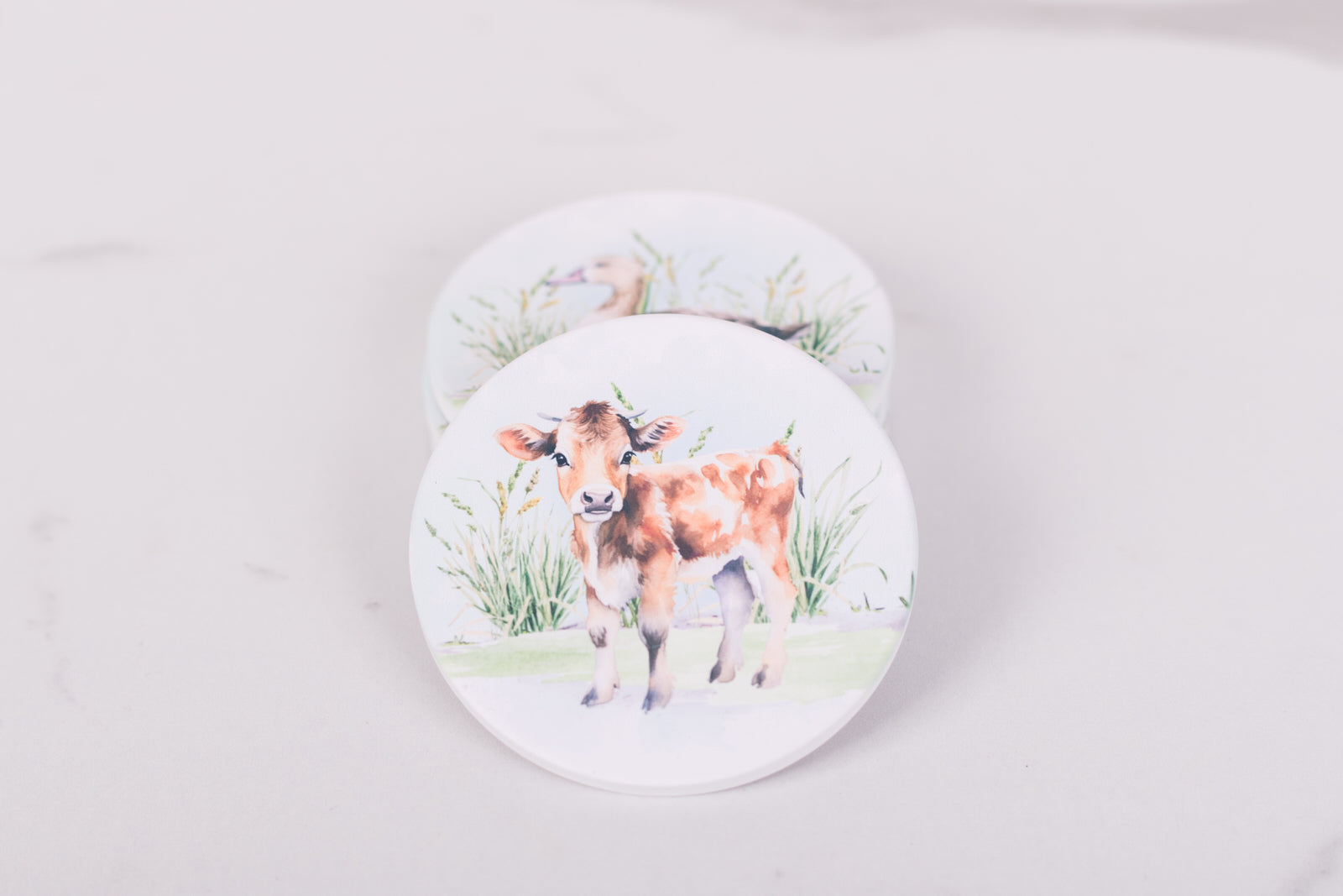 Homestead Collection coasters with cow illustrations on a light gray background