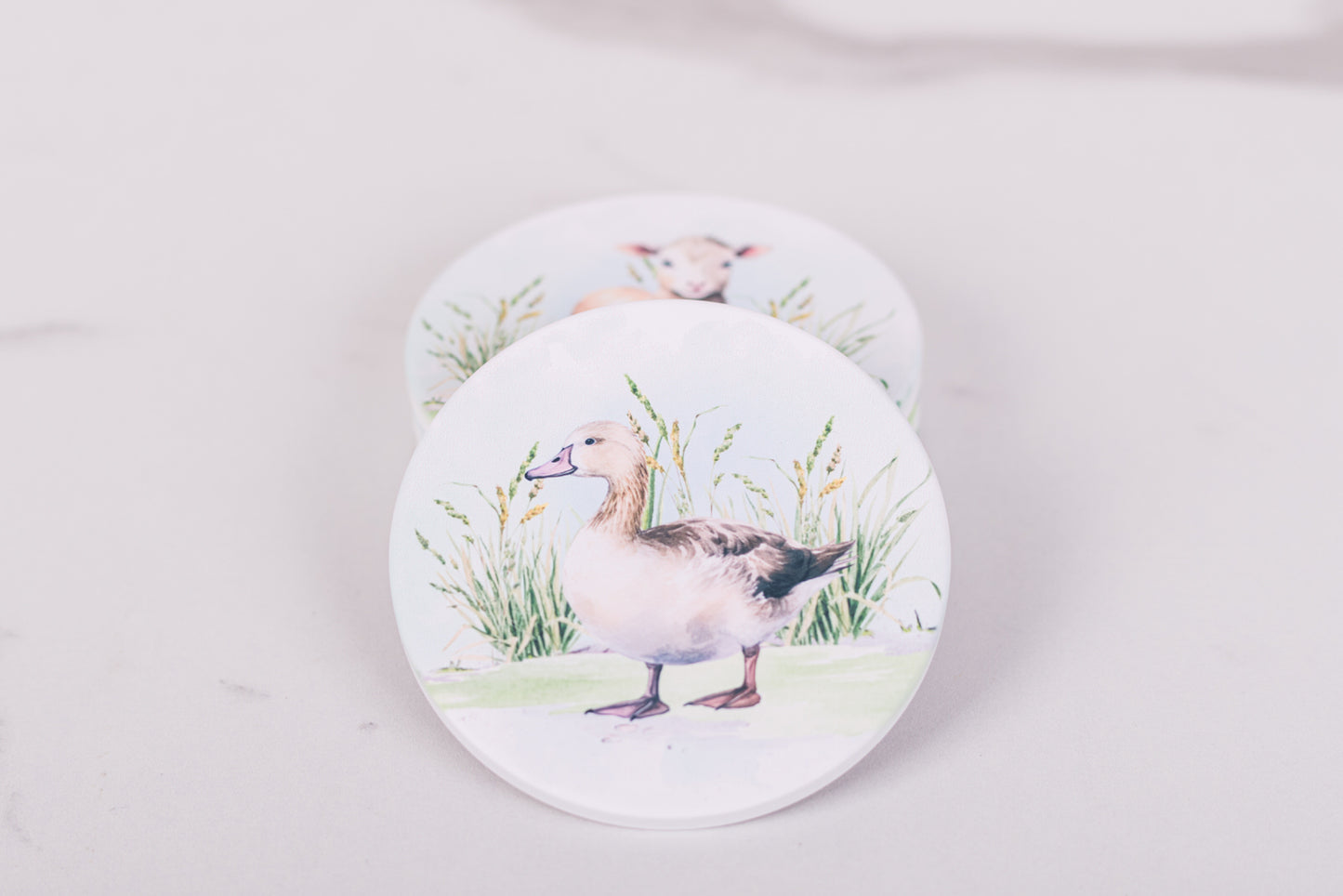 Two round coasters with duck designs on a light gray background