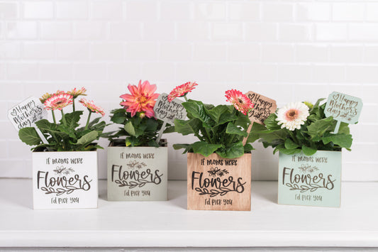 Mother's Day Plant Pot