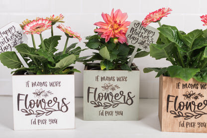 Mother's Day Plant Pot