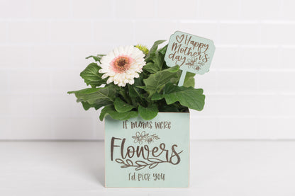 Mother's Day Plant Pot
