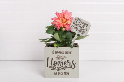Mother's Day Plant Pot