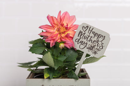 Mother's Day Plant Poke