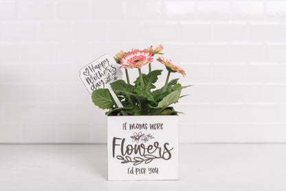 Mother's Day Plant Pot