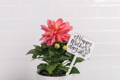 Mother's Day Plant Poke