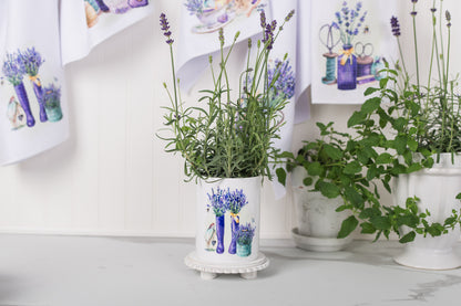 Potted plants in white pots with lavender designs on a light background