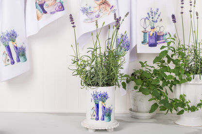 Potted plants with lavender flowers on a white surface
