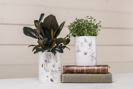 Magnolia Plant Pot